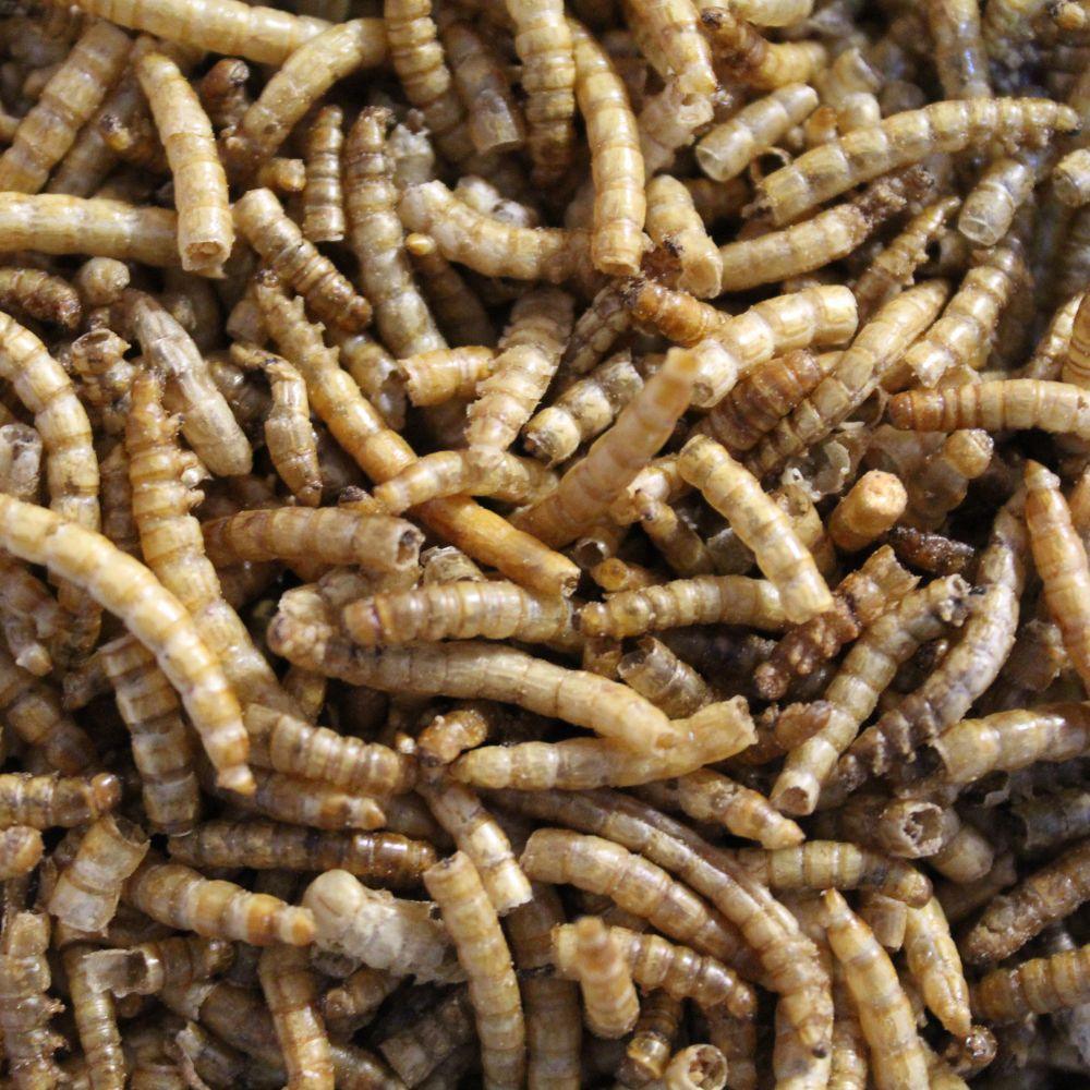 Suplimente pentru pasari cu viermi uscati Galian 220 gr - DalisPet